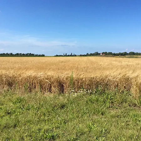 Asko Mejeri Bandholm
